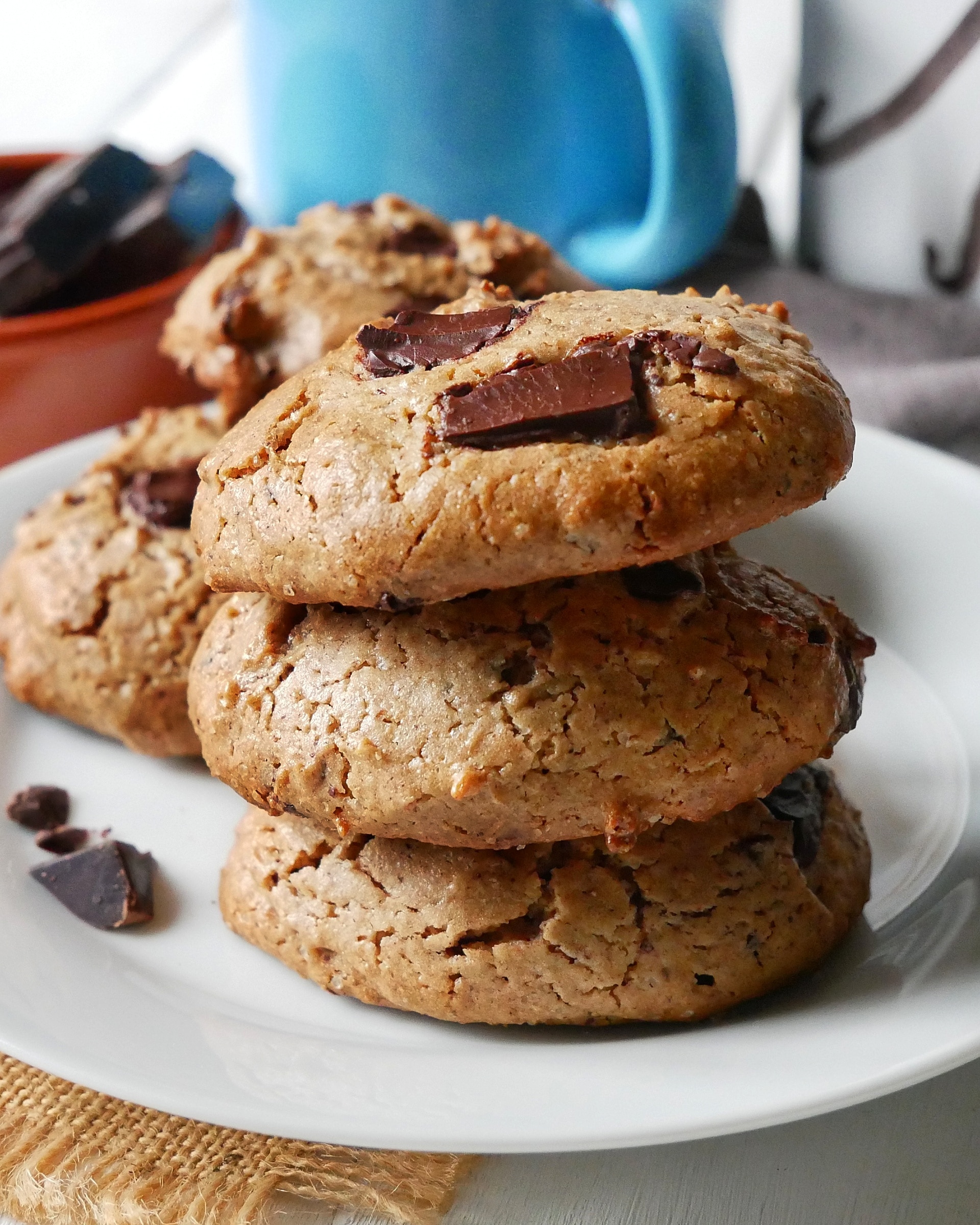 cookies sans gluten, sans lactose