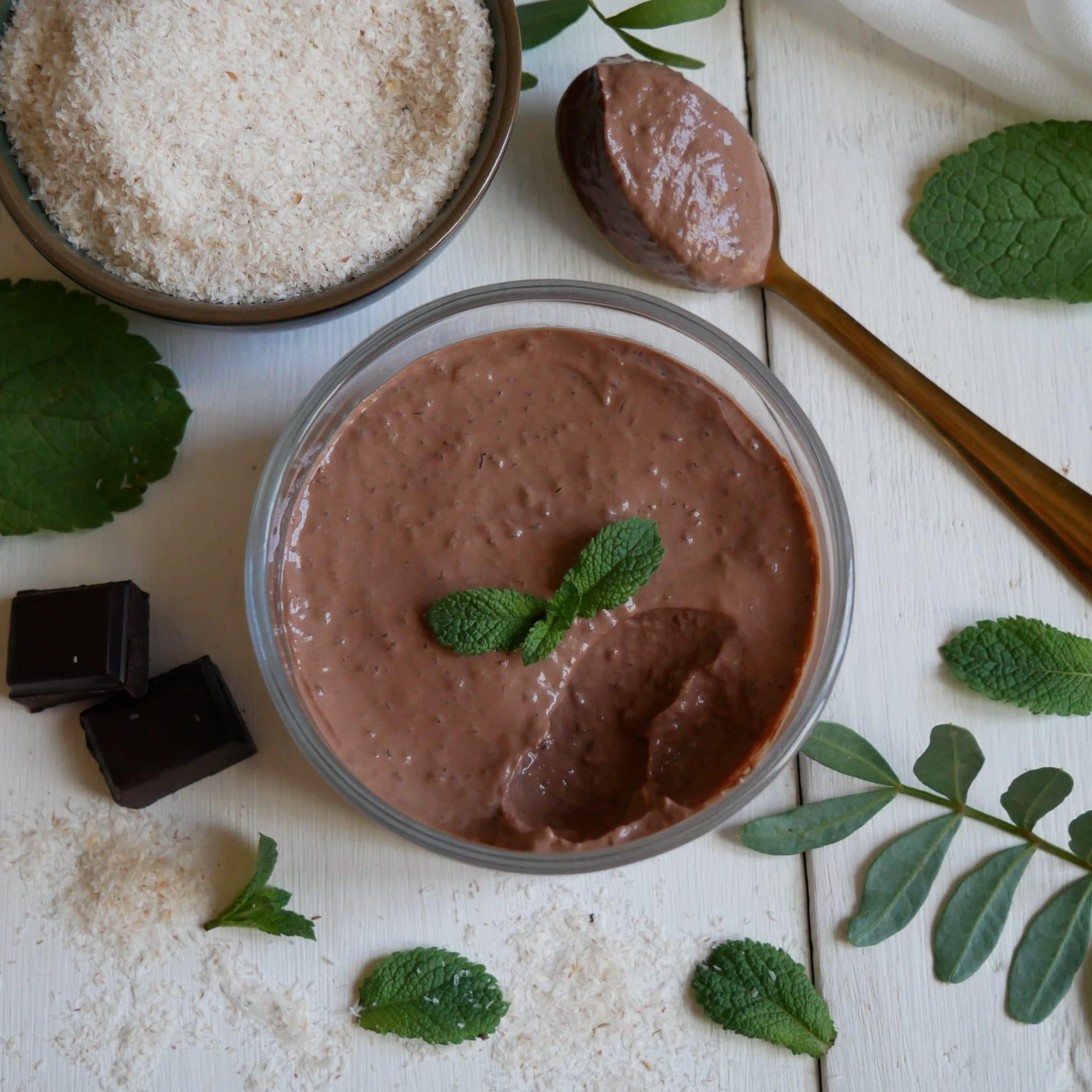 crème chocolat au psyllium (sans cuisson, vegan)